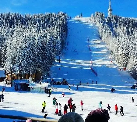 Deluxe Monastery 3 *