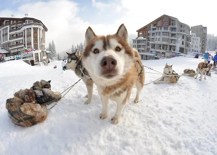 Deluxe Monastery 3 * פמפורובו